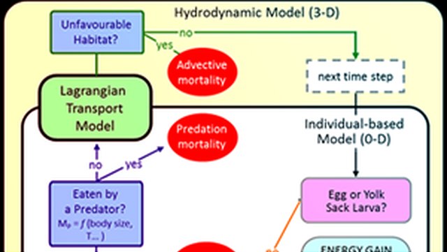 fischereiökologische Modellsysteme