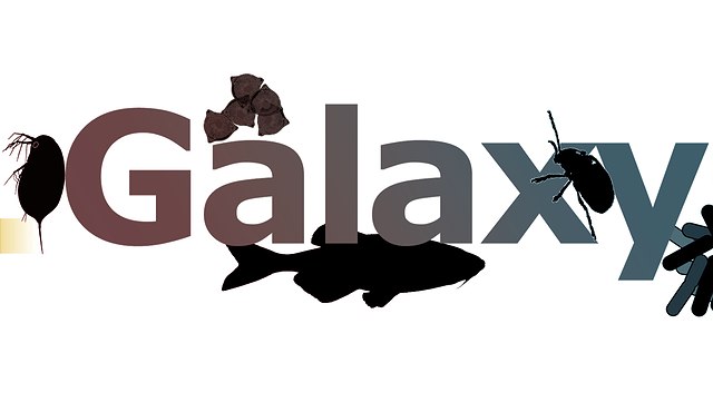 Schriftzug Galaxy mit Symbolen der Biologie