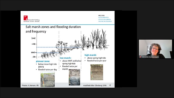 Screenshot of Prof. Dr. Annette Eschenbach presenting her lecture via ZOOM.