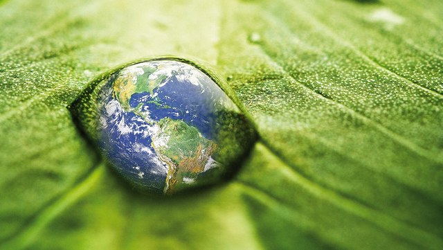 In einem Wassertropfen auf einem Blatt spiegelt sich die Weltkugel