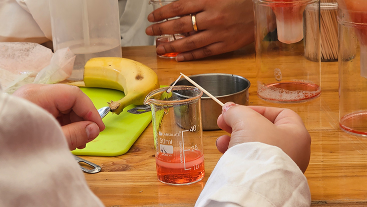 Kinderhände bei einem biologischen Versuch