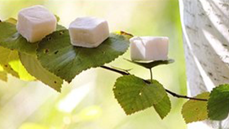 Weisse Würfel auf Birkenblättern