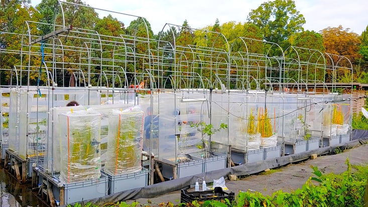 Setup of the Labelling Experiment