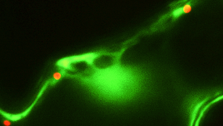 Farbige Formen auf schwarzem Hintergund