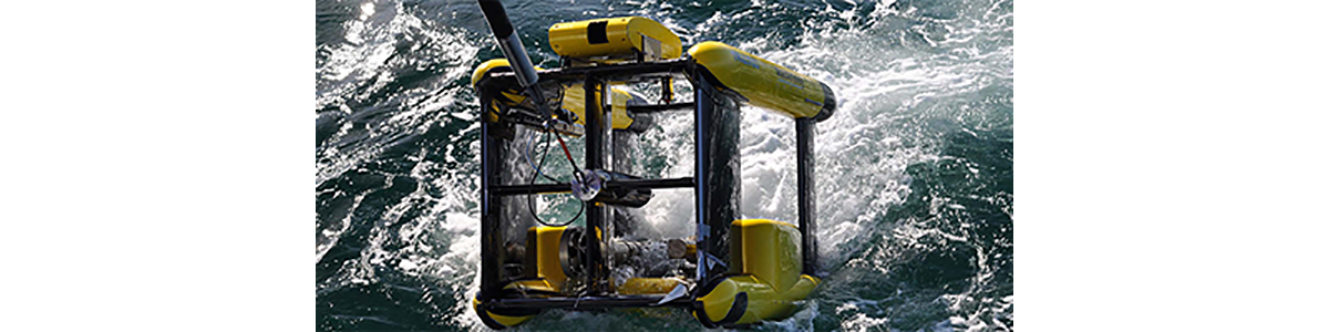 Bachelor of Science Marine Ökosystem- und Fischereiwissenschaften ...